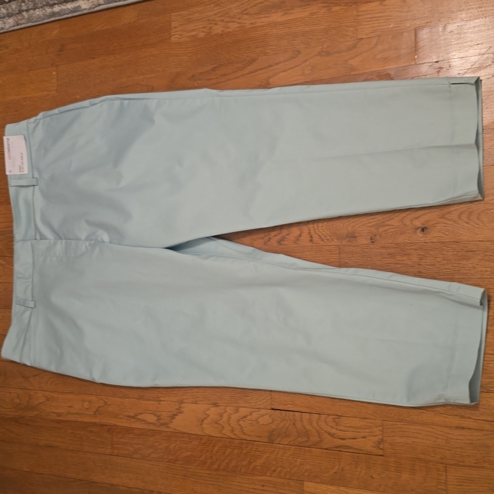LIZ CLAIBORNE BRAND WOMEN'S PLUS SIZE MINT GREEN SLIM LEG   PANTS SIZE 18